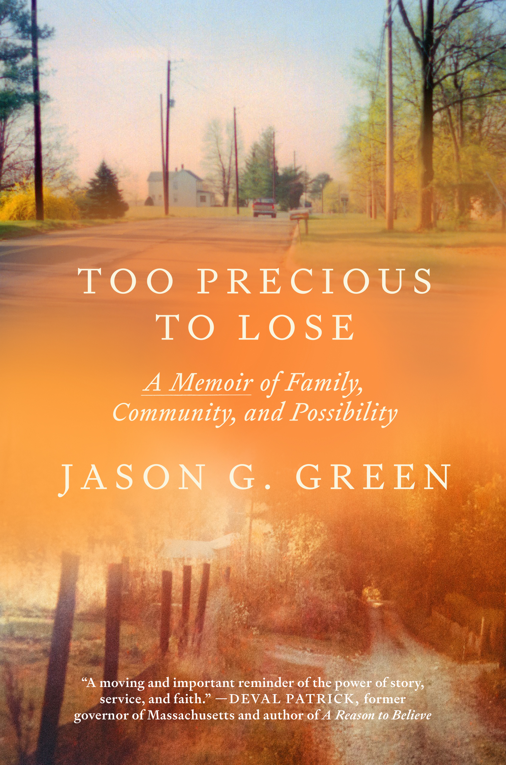 Too Precious To Lose Cover