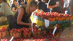 [photo, Baltimore Farmers' Market, Holliday St. and Saratoga St., Baltimore, Maryland]