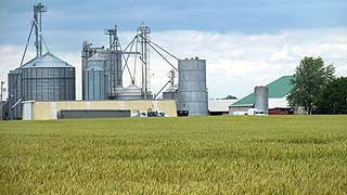 [photo, Silos, Easton, Maryland]