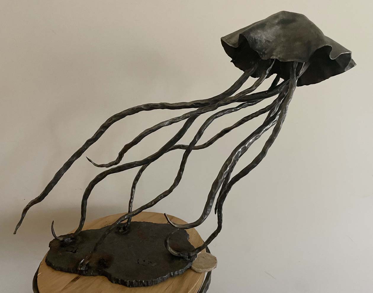 Jellyfish