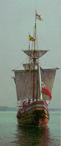 The Dove